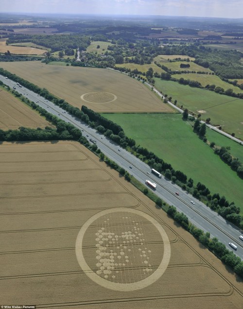 Crop Circle