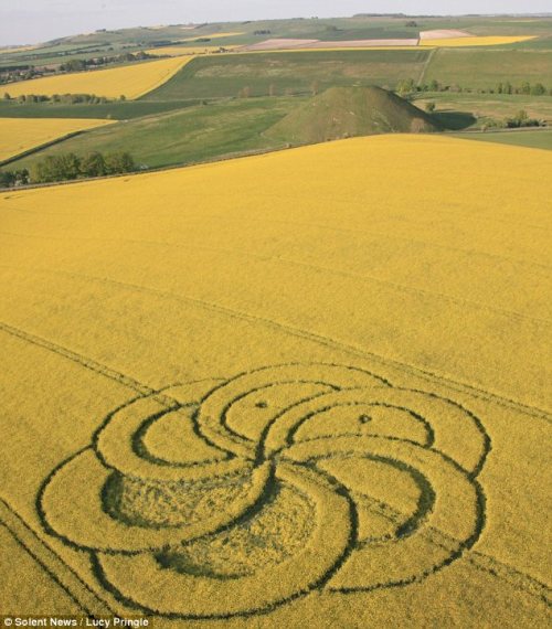 crop-circle-avebury