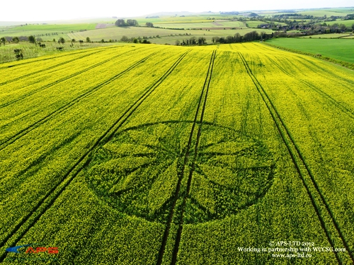 Crop Circle 2012
