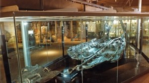 dover-boat-museum The preserved Bronze Age Boat in Dover Museum Credit: Dover Museum