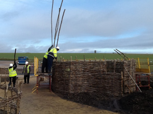 The rafters are inserted into the woven hazel wall.